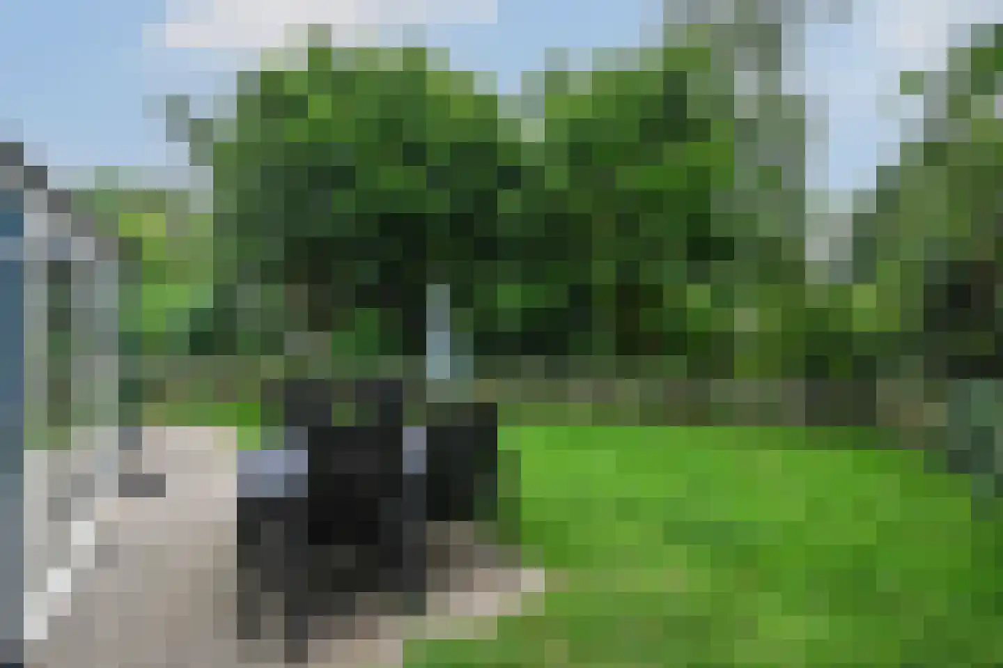 Landweerswal 2 032 Braamt thumbnail 19
