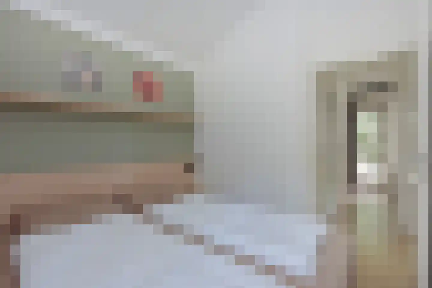 Landweerswal 2 071 Braamt thumbnail 11