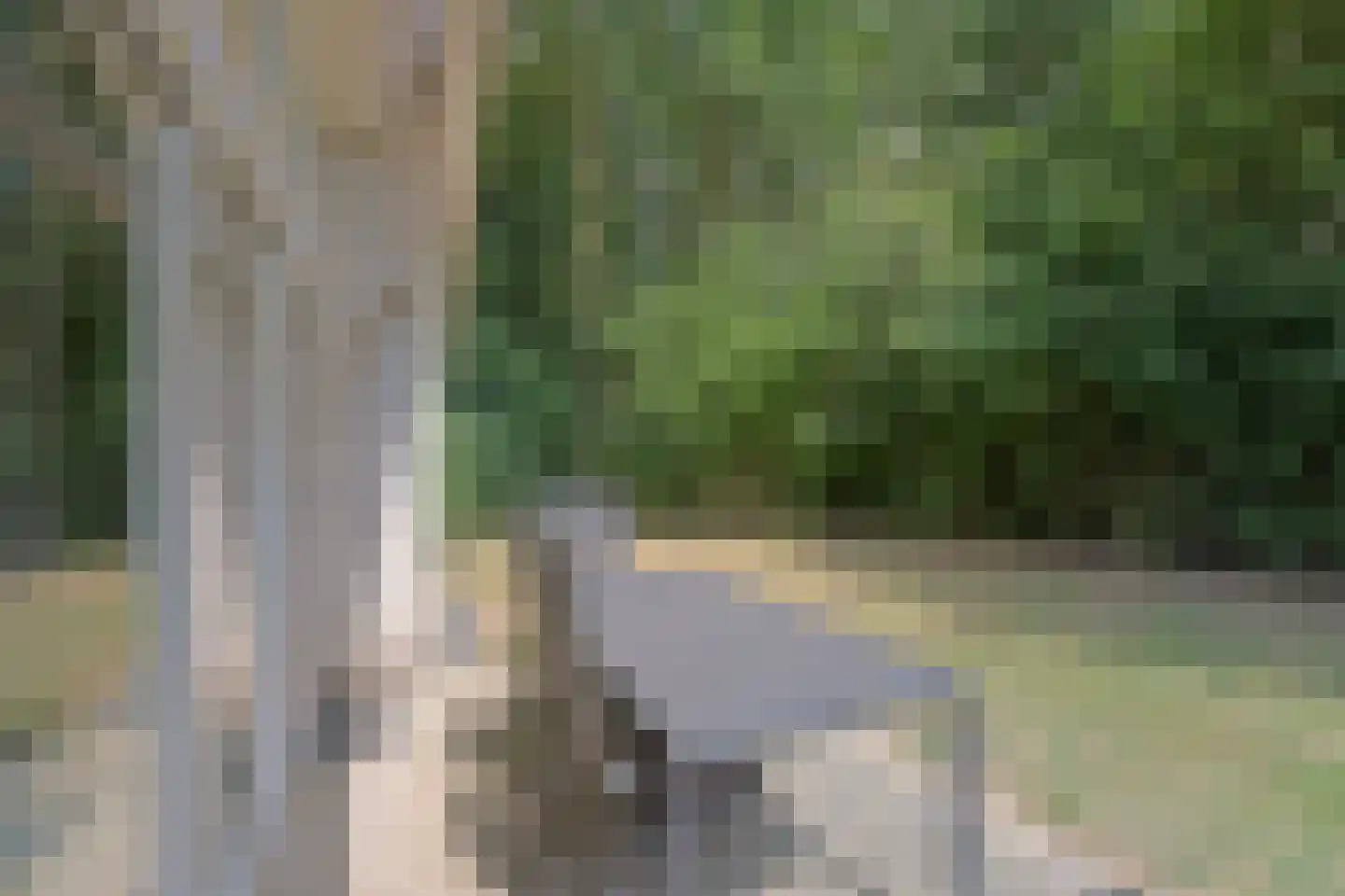 Landweerswal 2 071 Braamt thumbnail 20
