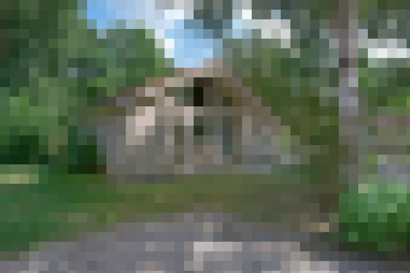Landweerswal 2 071 Braamt thumbnail 22