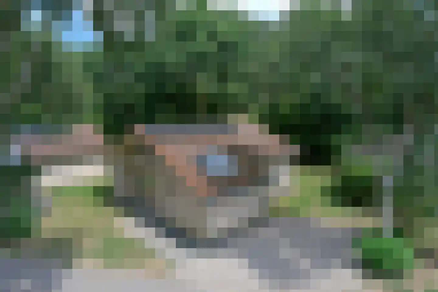 Landweerswal 2 071 Braamt thumbnail 23
