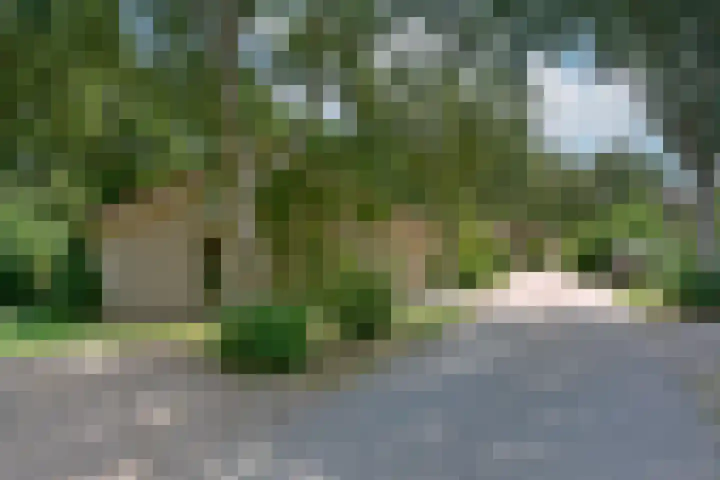 Landweerswal 2 071 Braamt thumbnail 24
