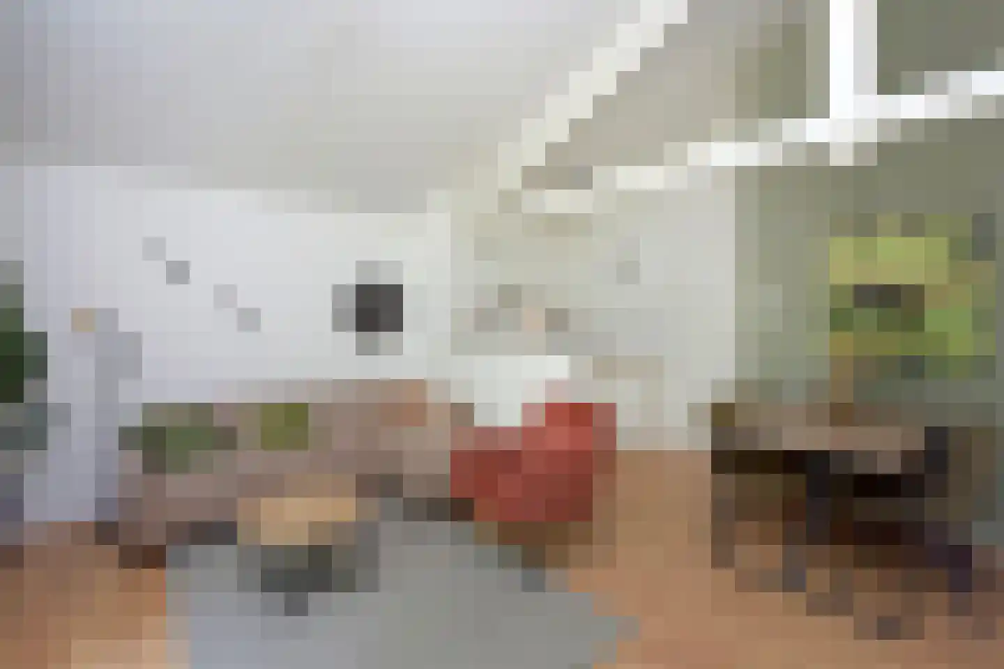 Landweerswal 2 071 Braamt thumbnail 4