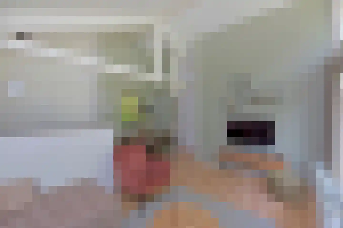 Landweerswal 2 071 Braamt thumbnail 6