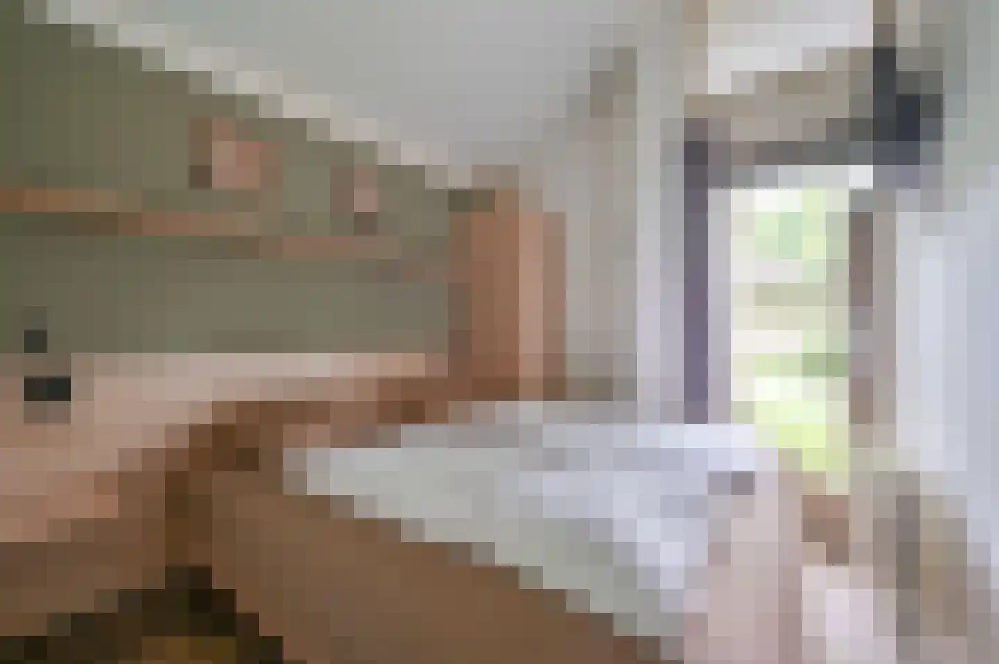Landweerswal 2 092 Braamt thumbnail 11