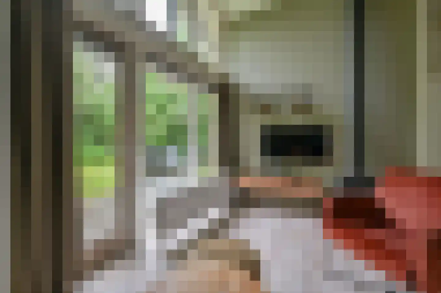 Landweerswal 2 092 Braamt thumbnail 6