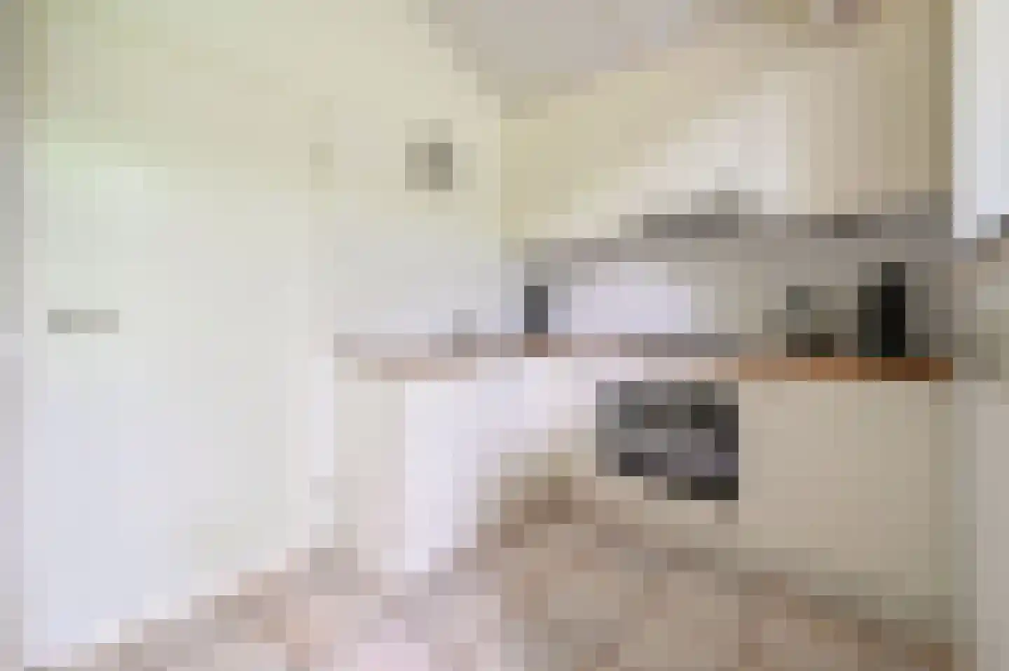 Landweerswal 2 092 Braamt thumbnail 9