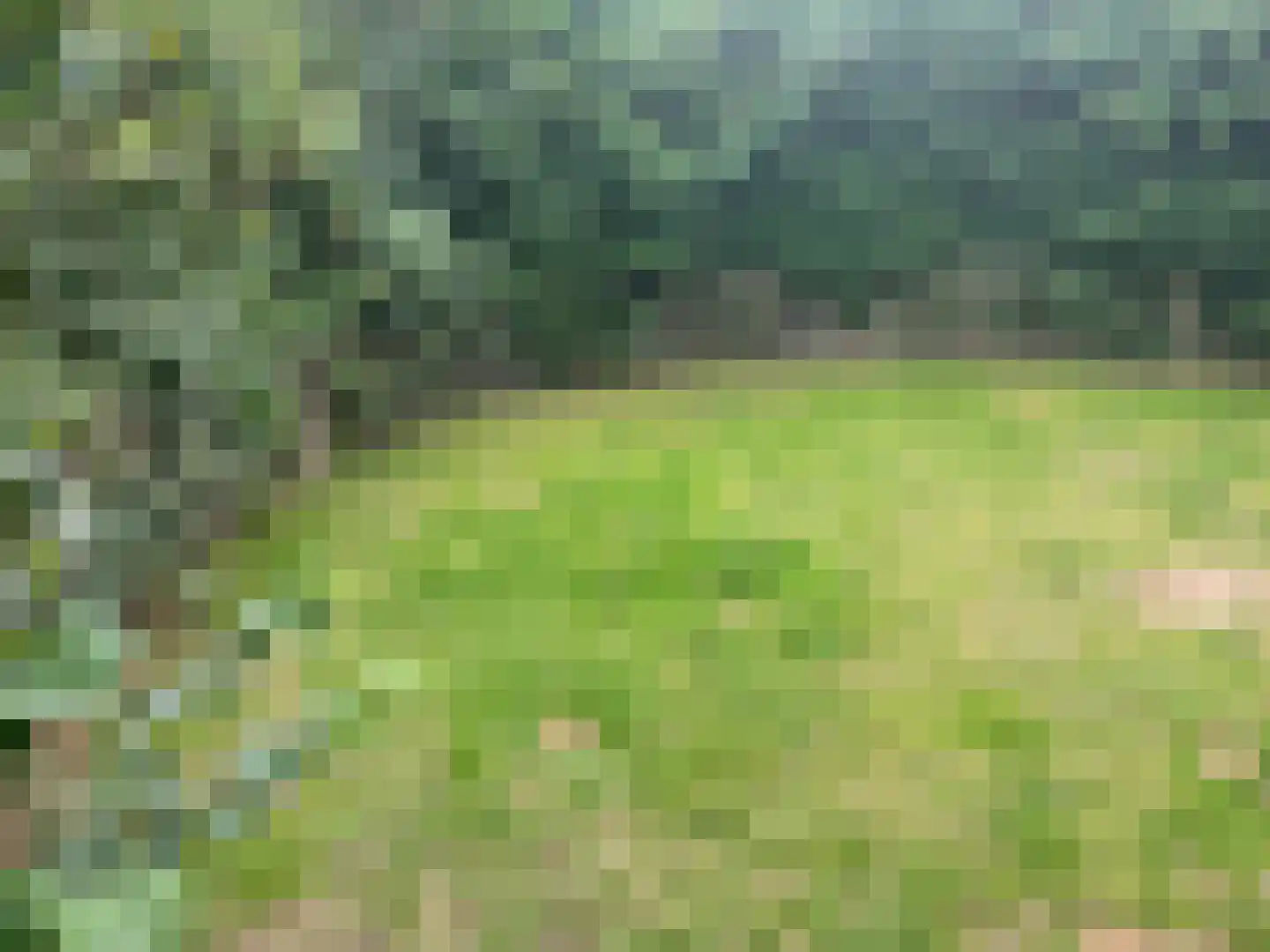 Landweerswal 2 10 Braamt thumbnail 14