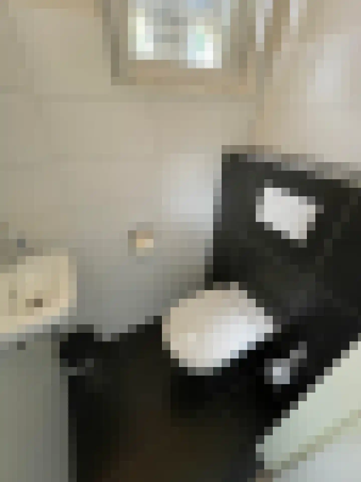 Landweerswal 2 10 Braamt thumbnail 5