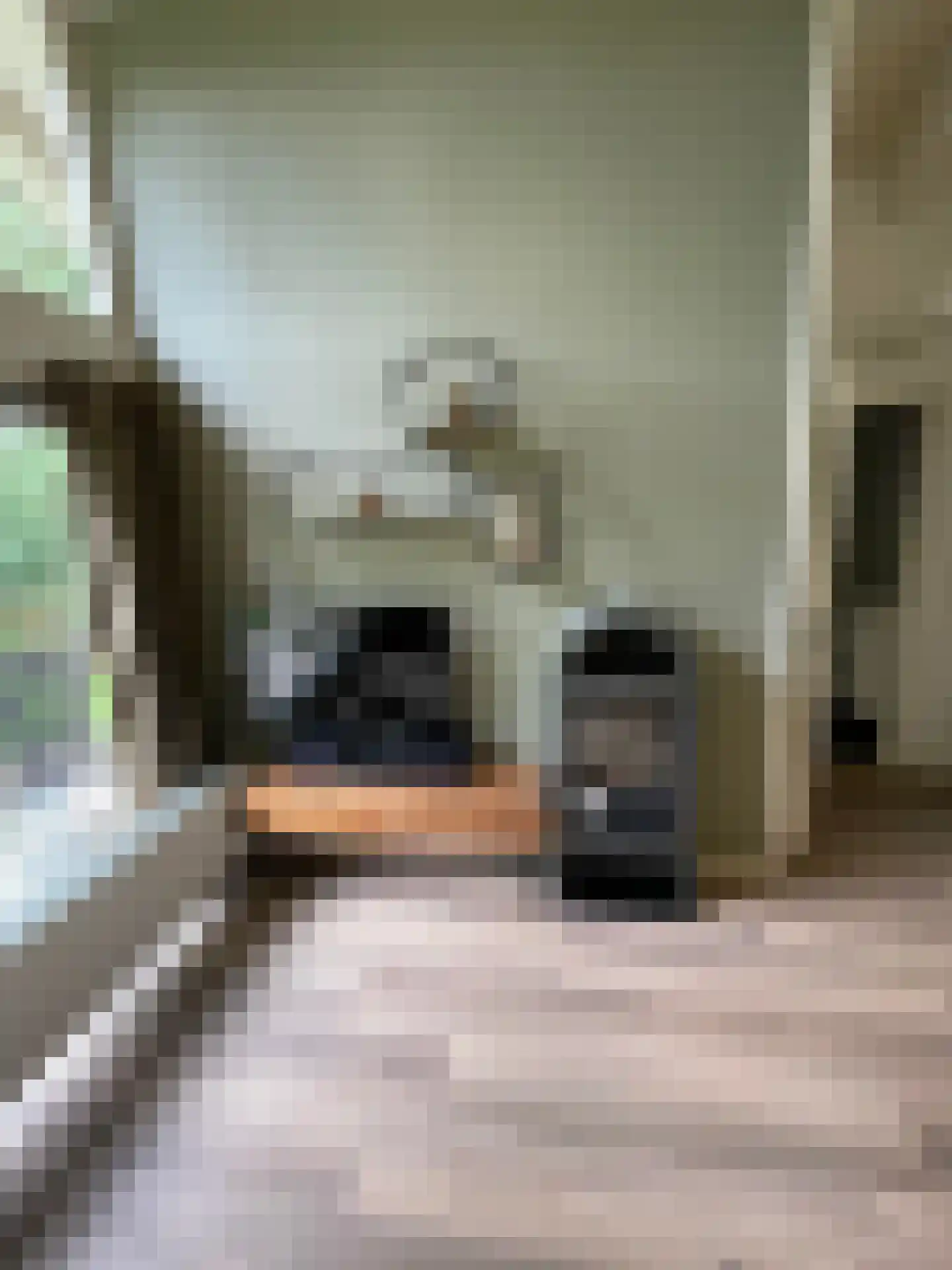 Landweerswal 2 10 Braamt thumbnail 8