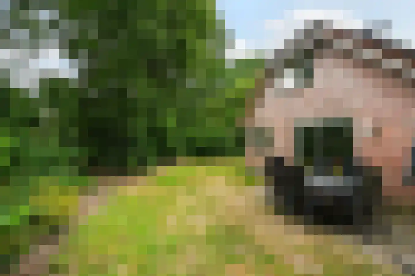 Landweerswal 2 120 Braamt thumbnail 16