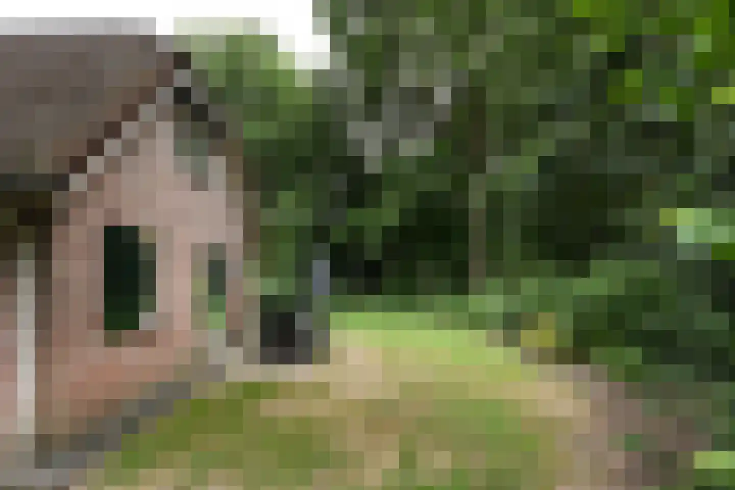 Landweerswal 2 120 Braamt thumbnail 17