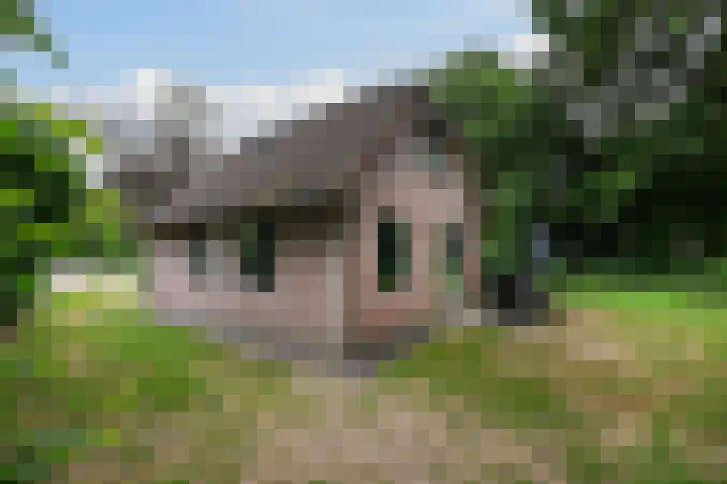 Landweerswal 2 120 Braamt thumbnail 18