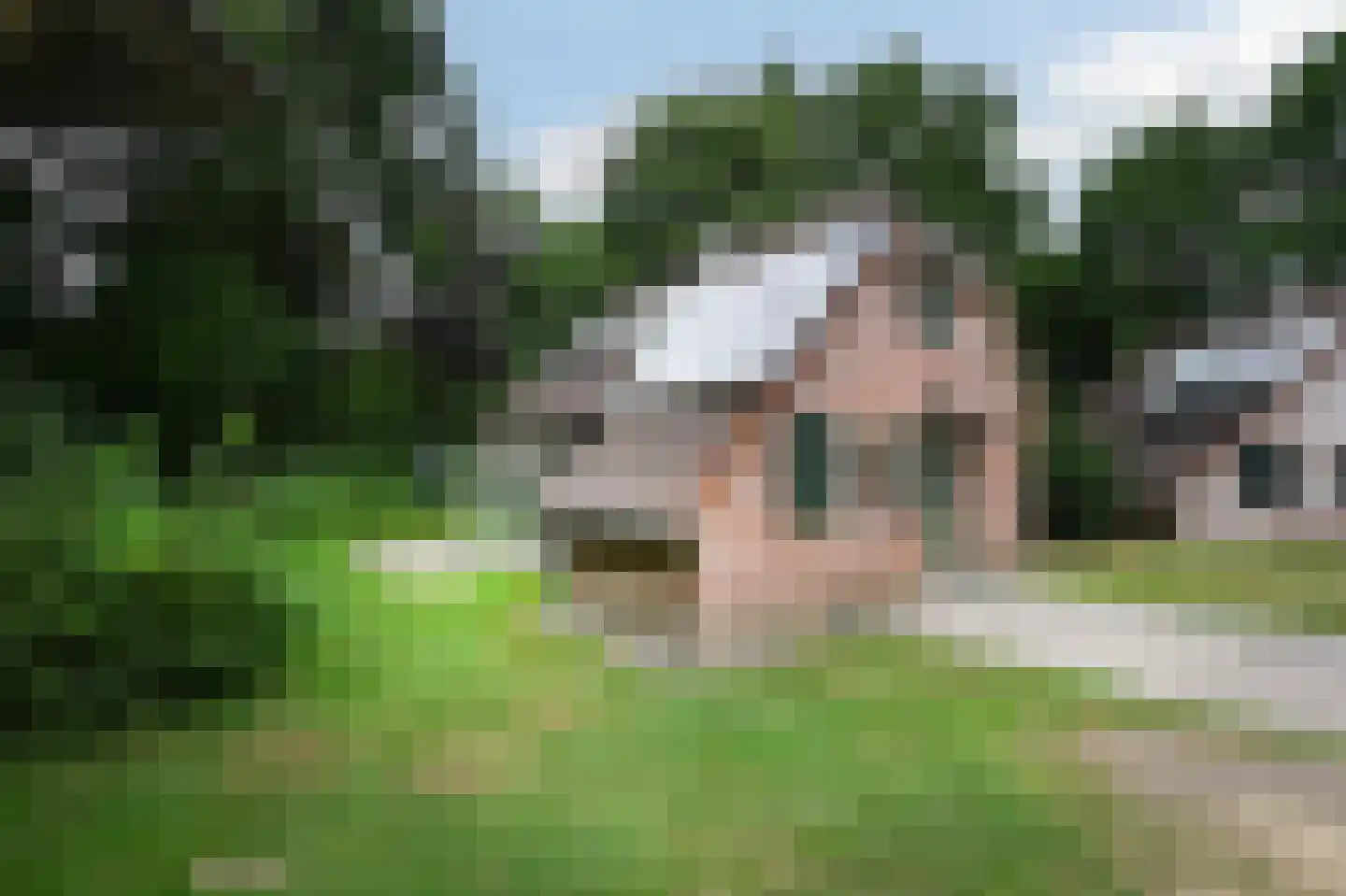 Landweerswal 2 120 Braamt thumbnail 20