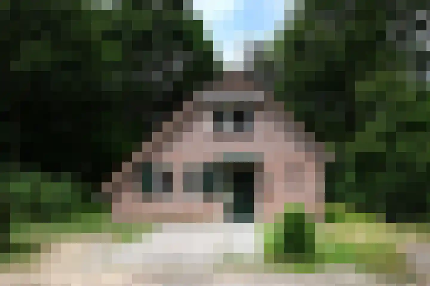 Landweerswal 2 120 Braamt thumbnail 21