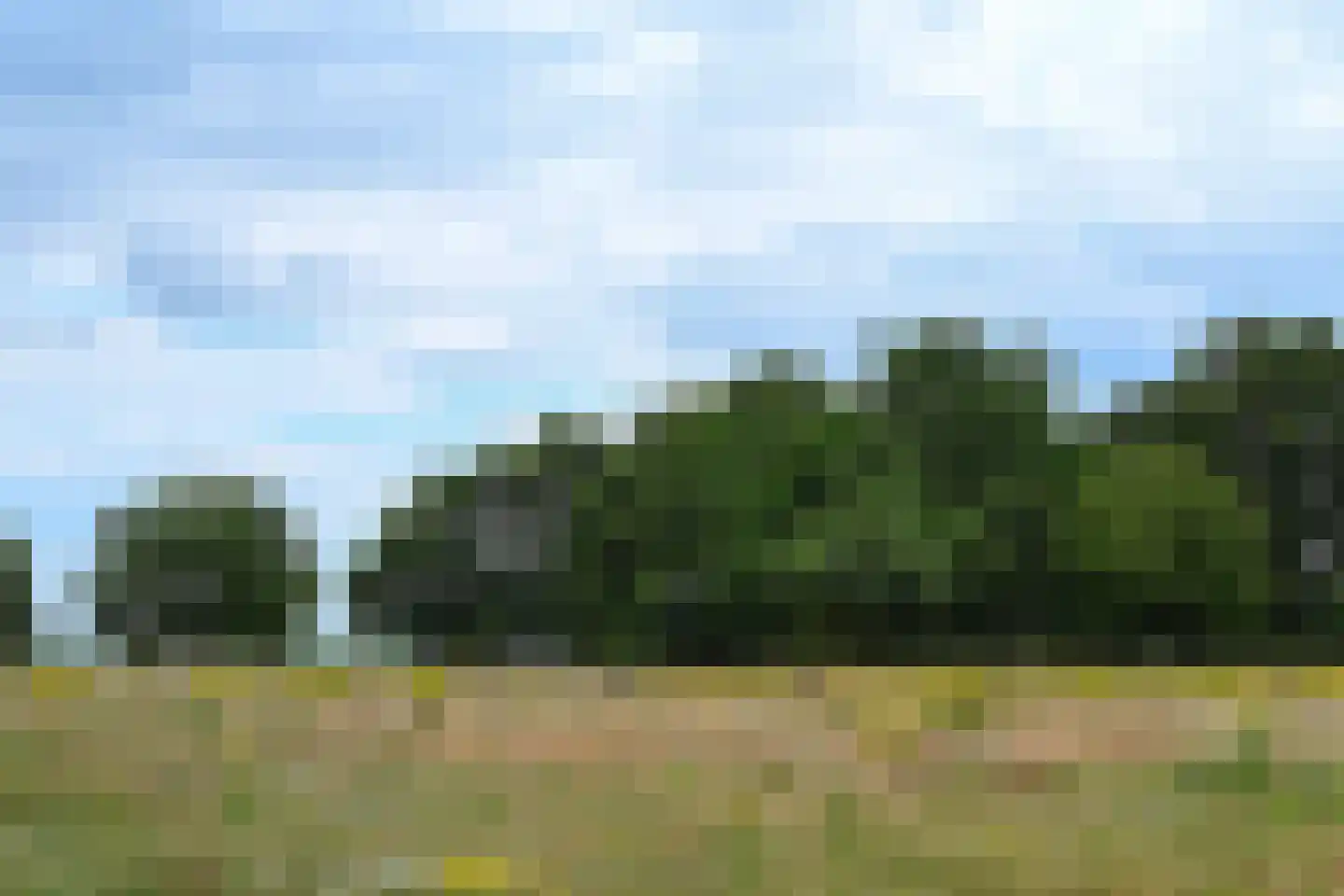 Landweerswal 2 120 Braamt thumbnail 23