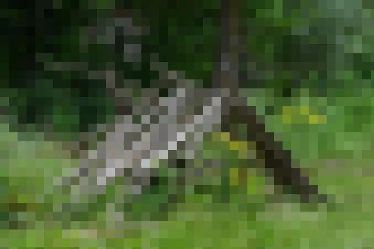 Landweerswal 2 120 Braamt thumbnail 25