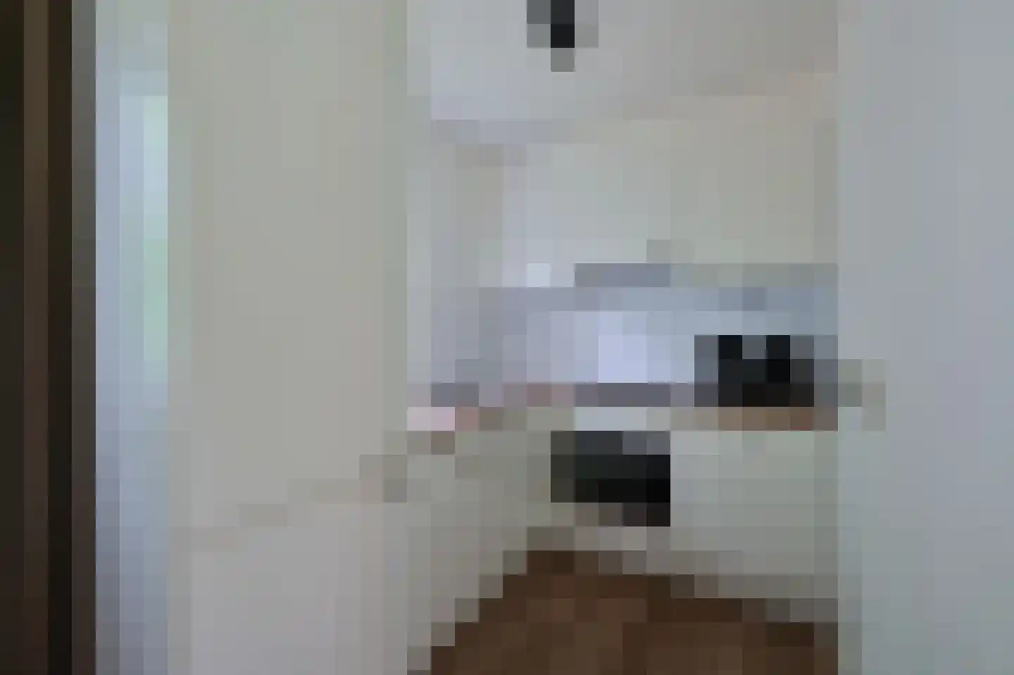 Landweerswal 2 120 Braamt thumbnail 8