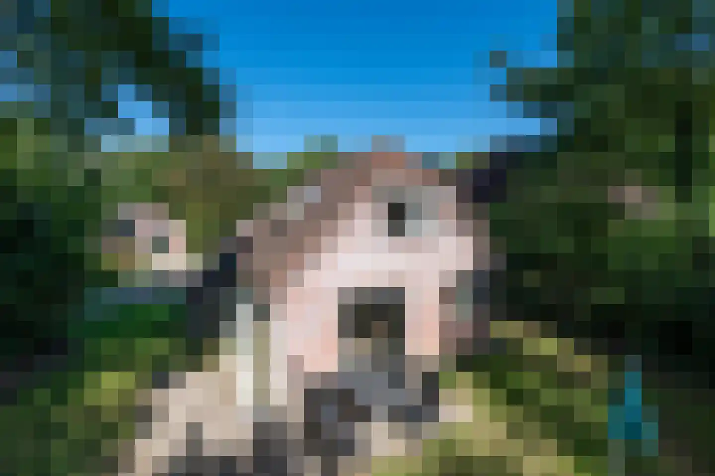 Landweerswal 2 123 Braamt thumbnail 27