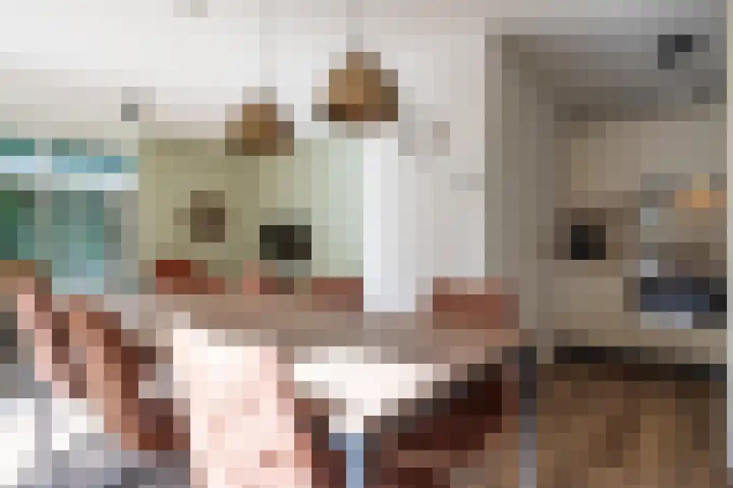 Landweerswal 2 123 Braamt thumbnail 7