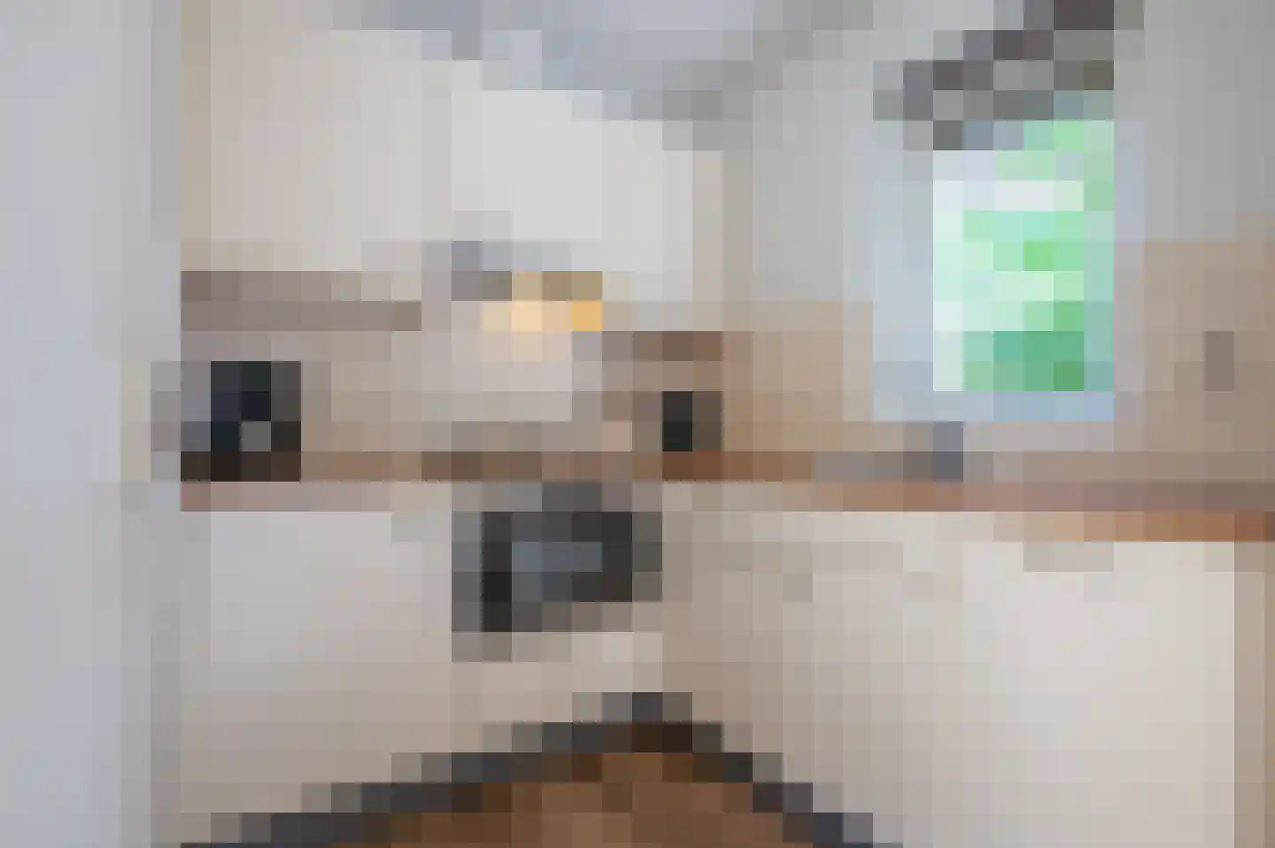 Landweerswal 2 123 Braamt thumbnail 9