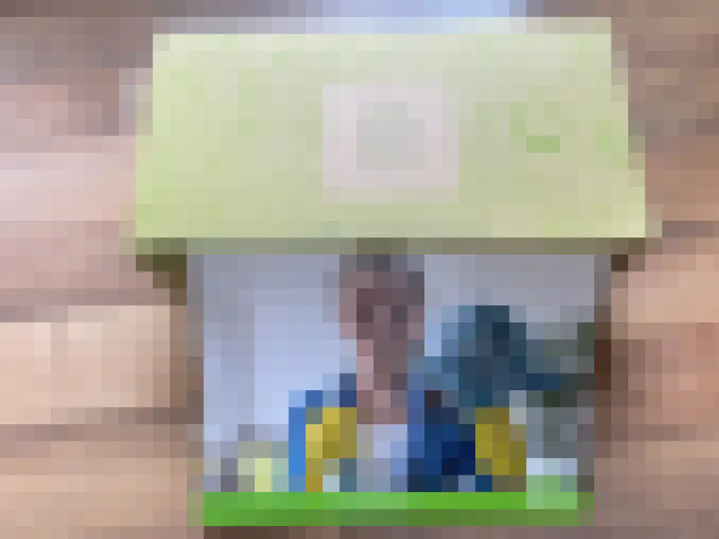 Landweerswal 2 136 Braamt thumbnail 30