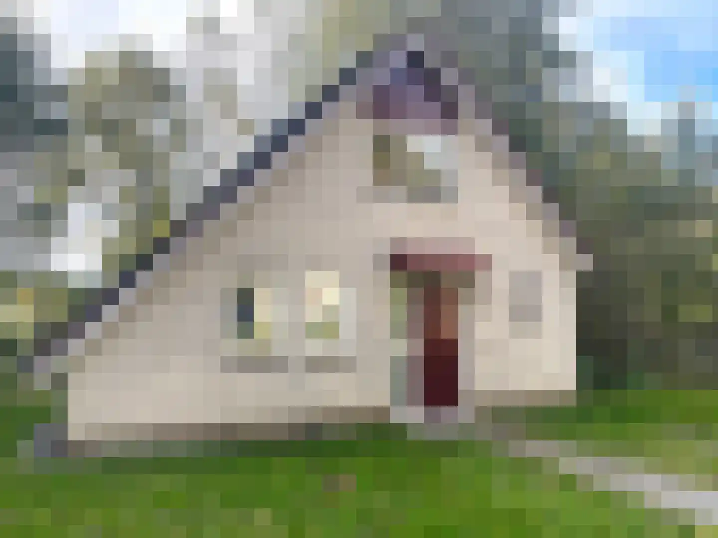 Landweerswal 2 136 Braamt thumbnail 5