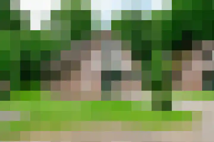 Landweerswal 2 146 Braamt thumbnail 20
