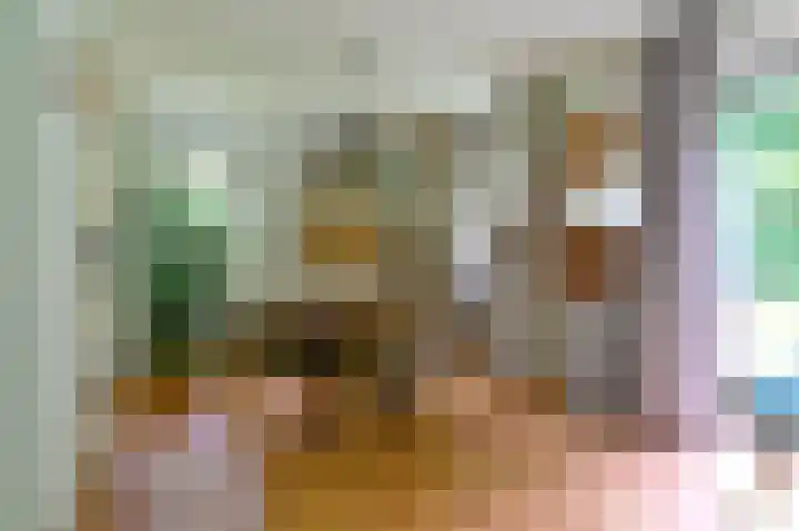 Landweerswal 2 146 Braamt thumbnail 4
