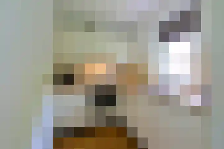 Landweerswal 2 146 Braamt thumbnail 6