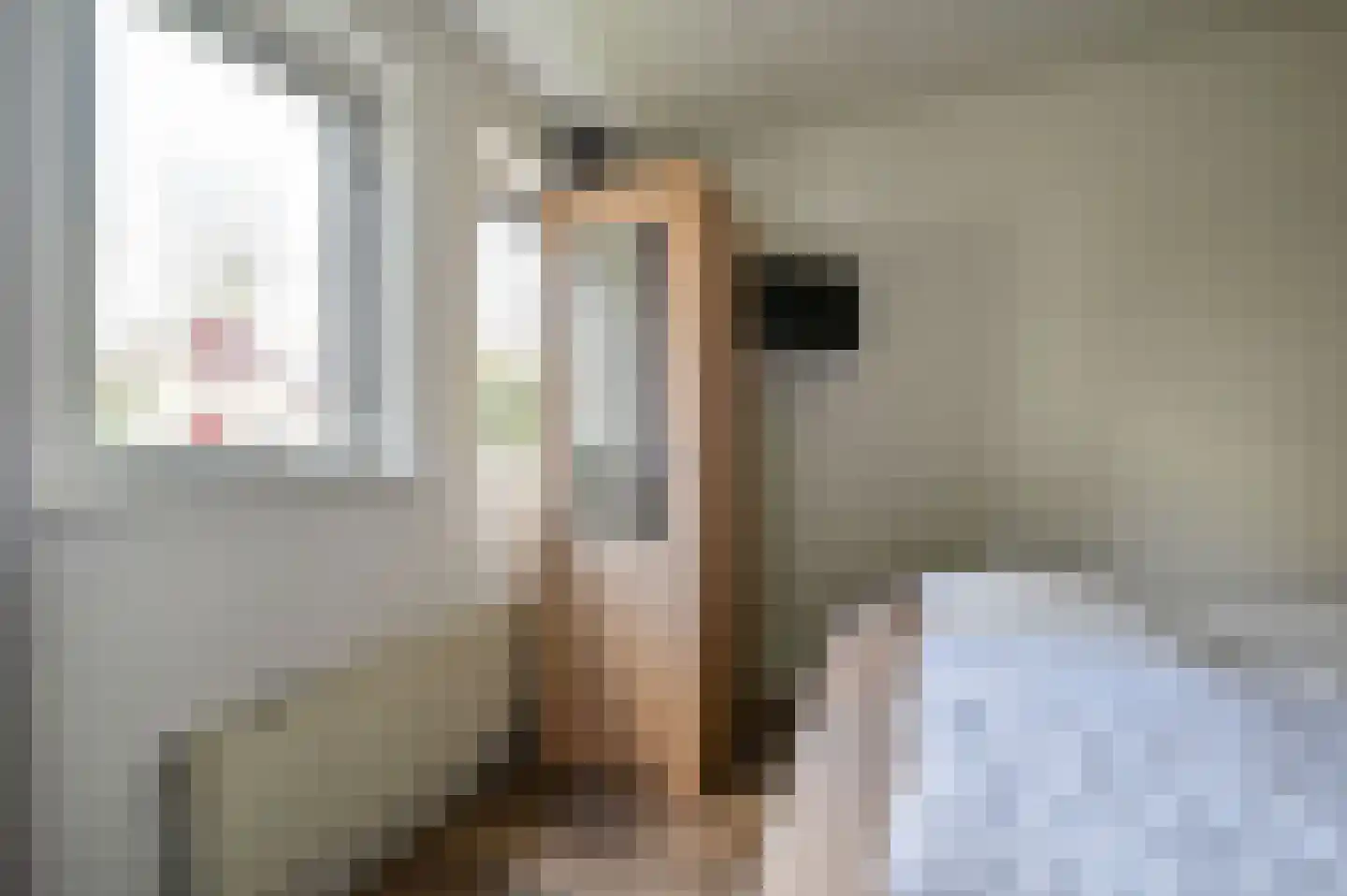 Landweerswal 2 172 Braamt thumbnail 14