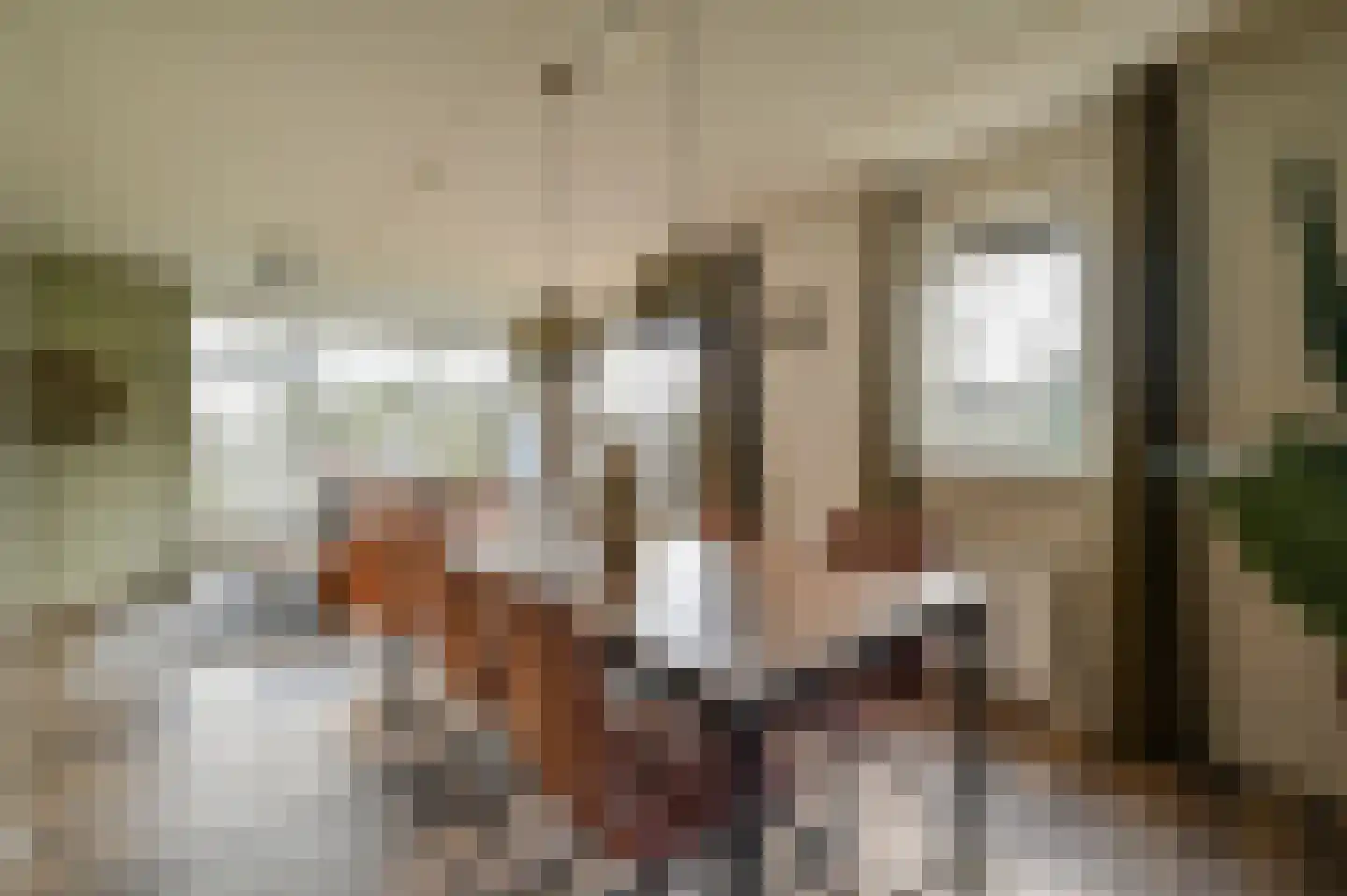 Landweerswal 2 172 Braamt thumbnail 6