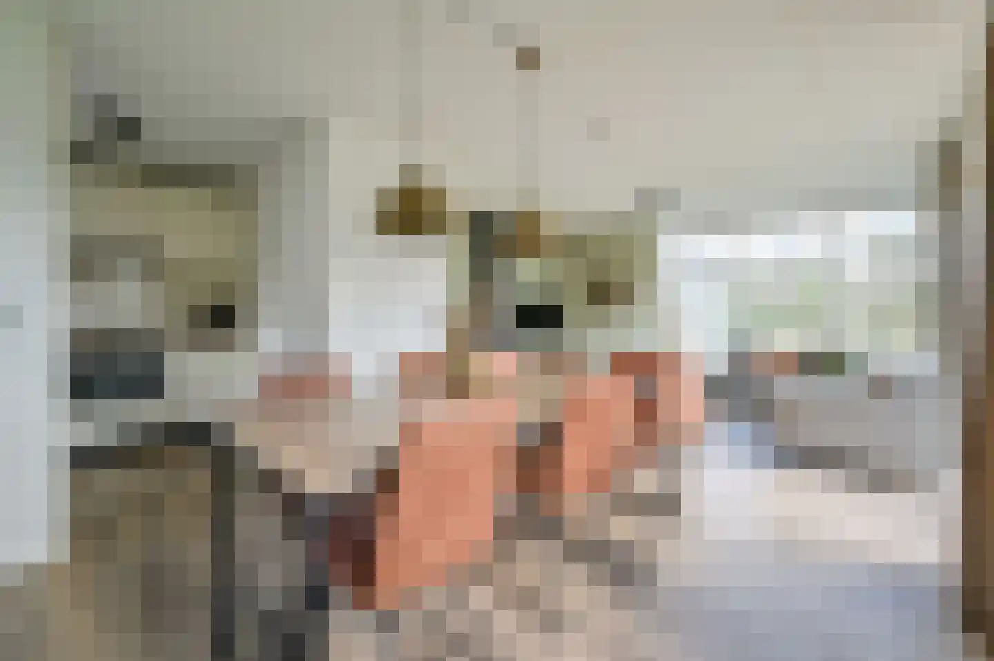 Landweerswal 2 172 Braamt thumbnail 9