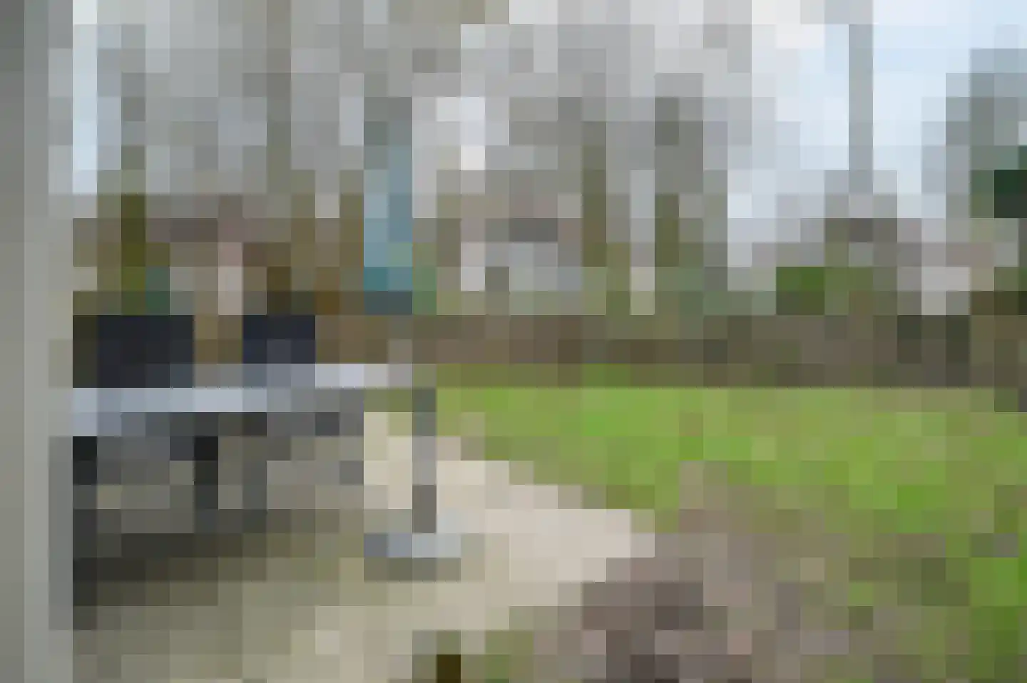 Landweerswal 2 197 Braamt thumbnail 17