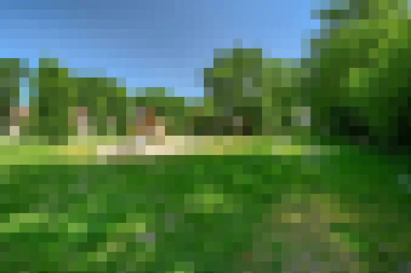 Landweerswal 2 197 Braamt thumbnail 19