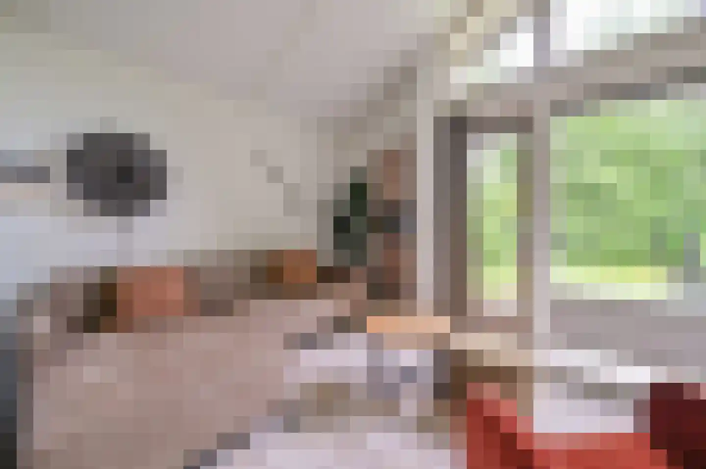 Landweerswal 2 197 Braamt thumbnail 4