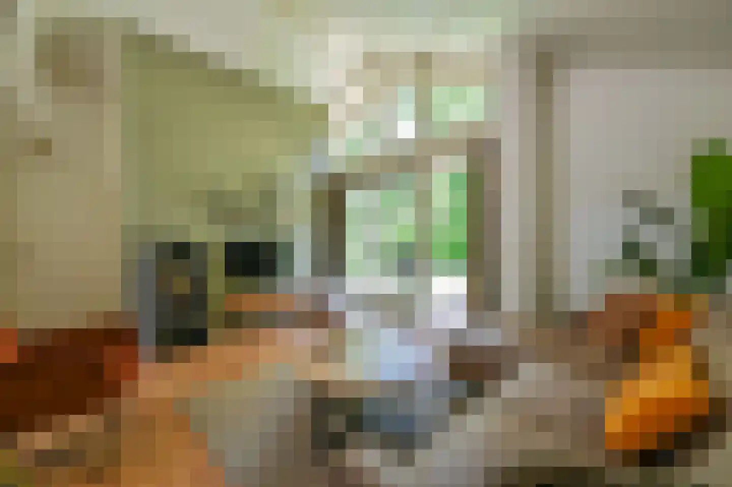 Landweerswal 2 197 Braamt thumbnail 8