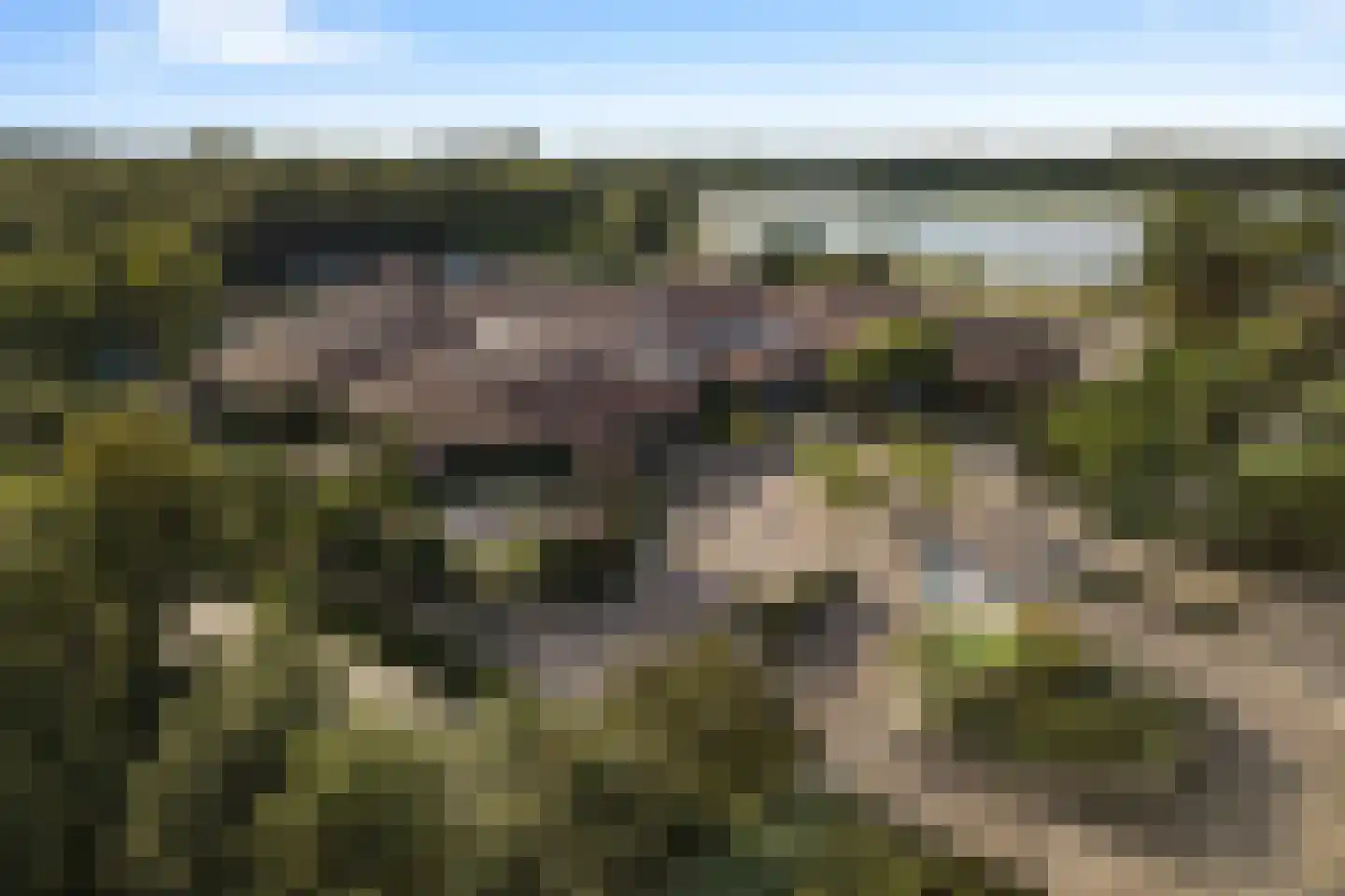 Landweerswal 2 204 Braamt thumbnail 19