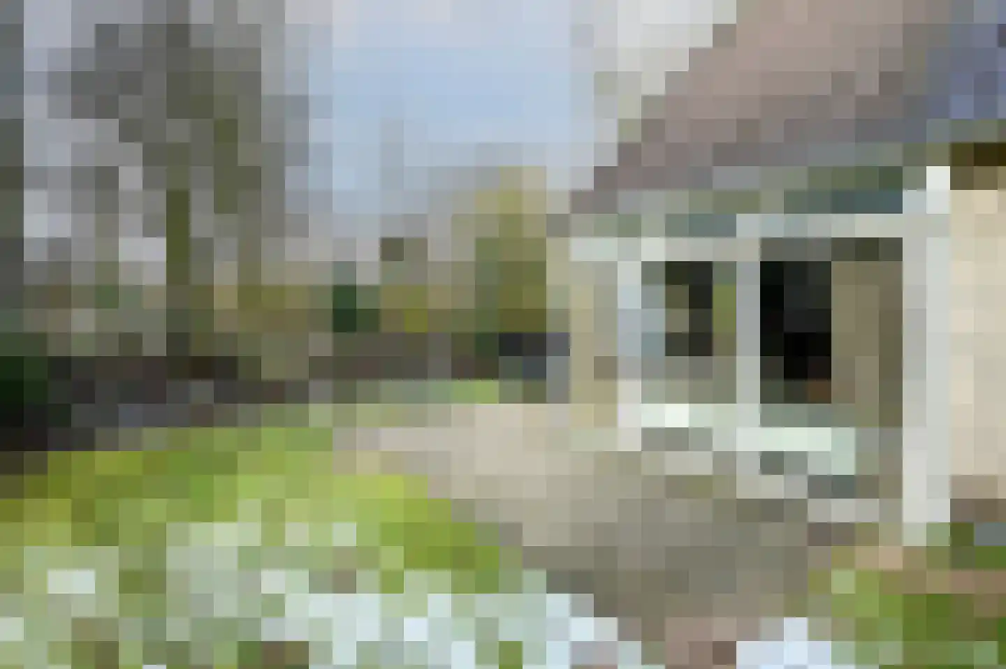 Landweerswal 2 205 Braamt thumbnail 20