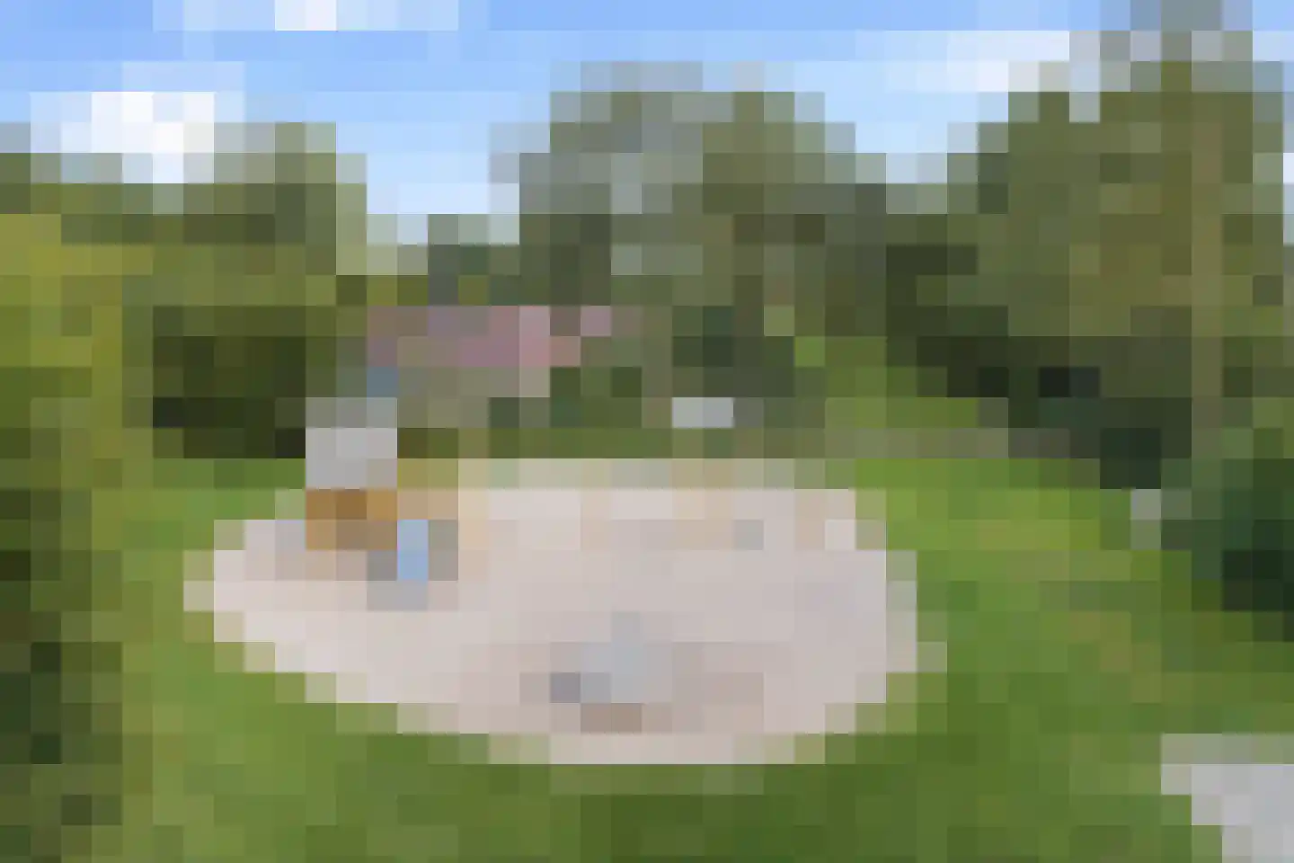 Landweerswal 2 205 Braamt thumbnail 22