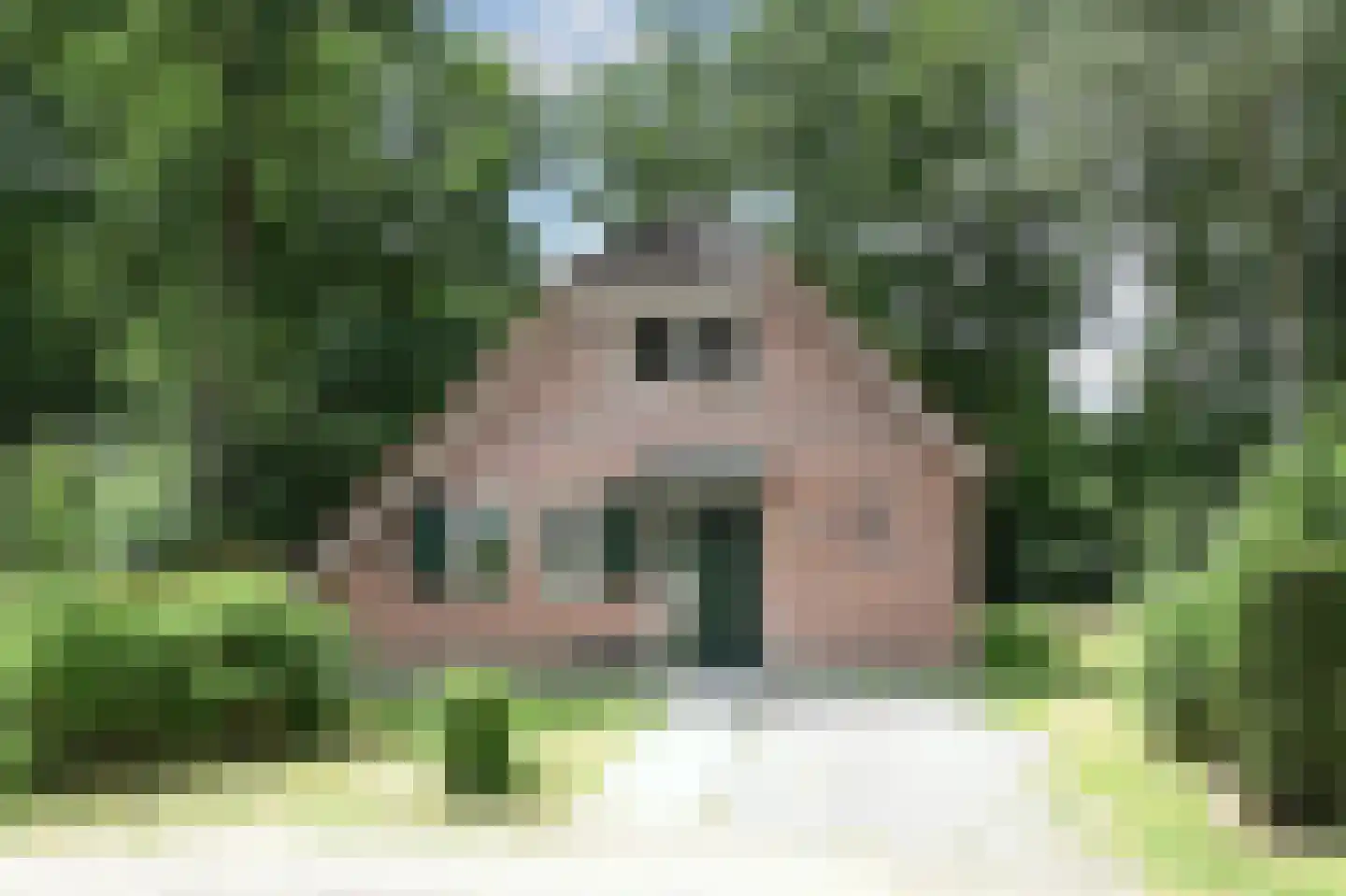 Landweerswal 2 210 Braamt