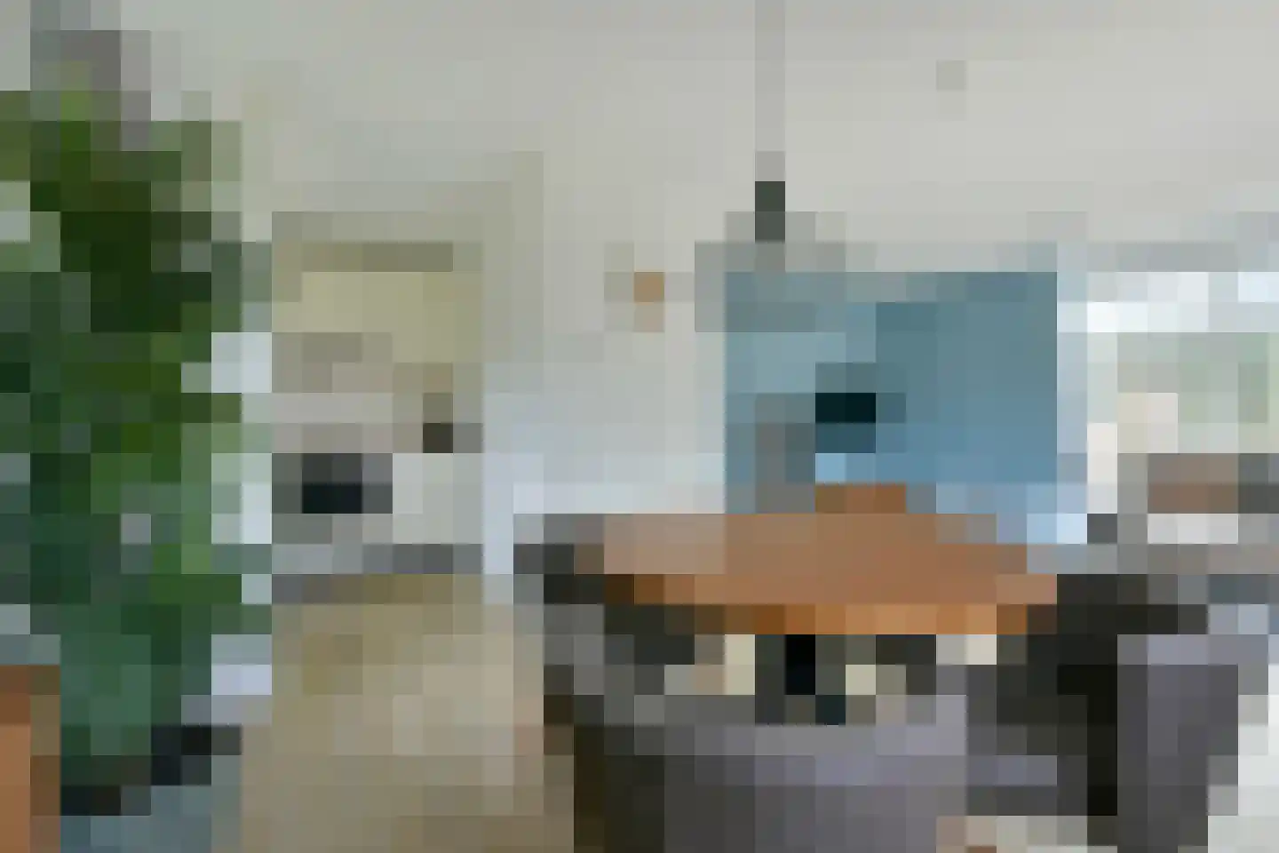 Landweerswal 2 210 Braamt thumbnail 11