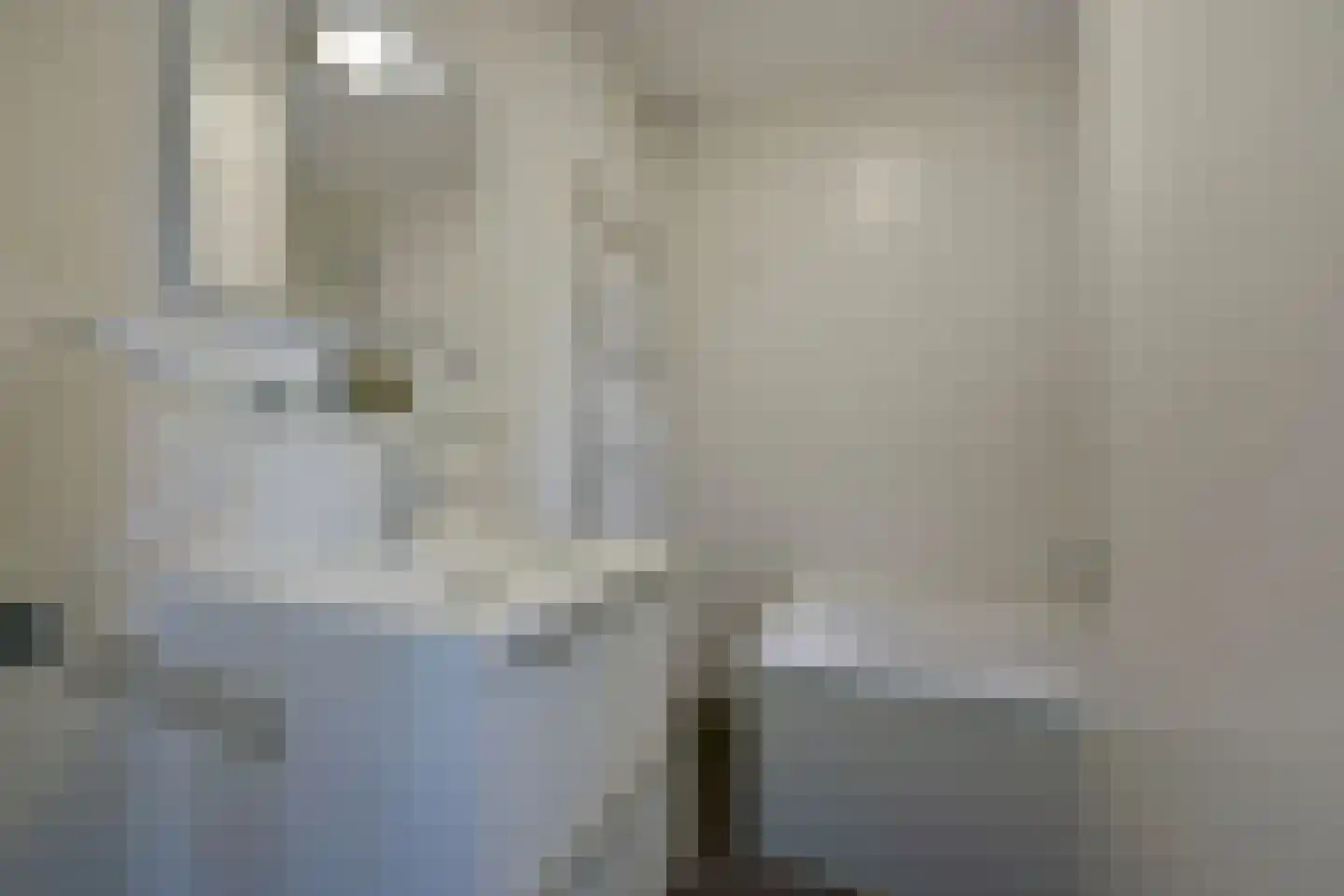 Landweerswal 2 210 Braamt thumbnail 20