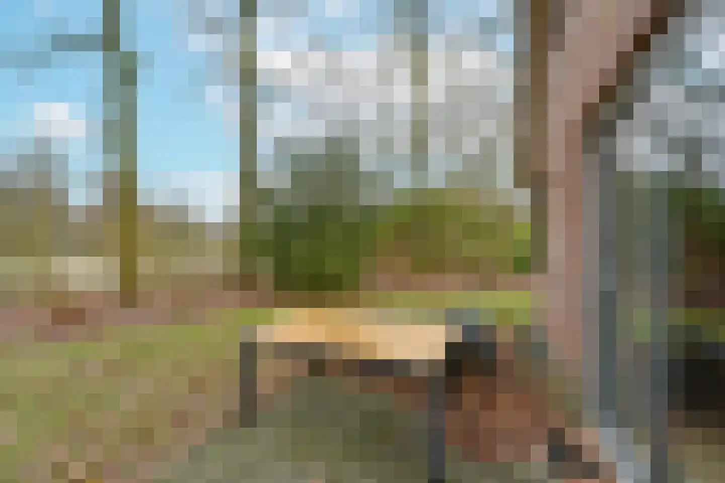 Landweerswal 2 210 Braamt thumbnail 25
