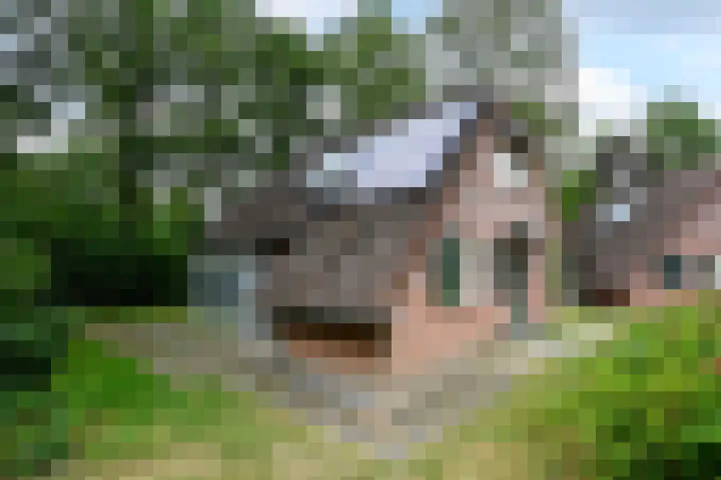 Landweerswal 2 210 Braamt thumbnail 26