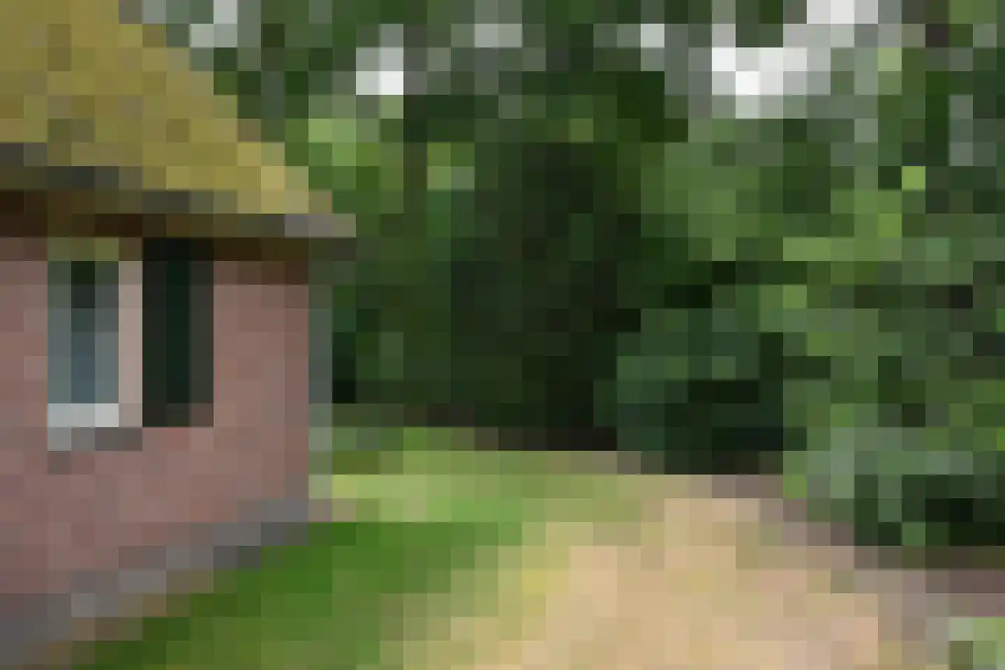 Landweerswal 2 210 Braamt thumbnail 27