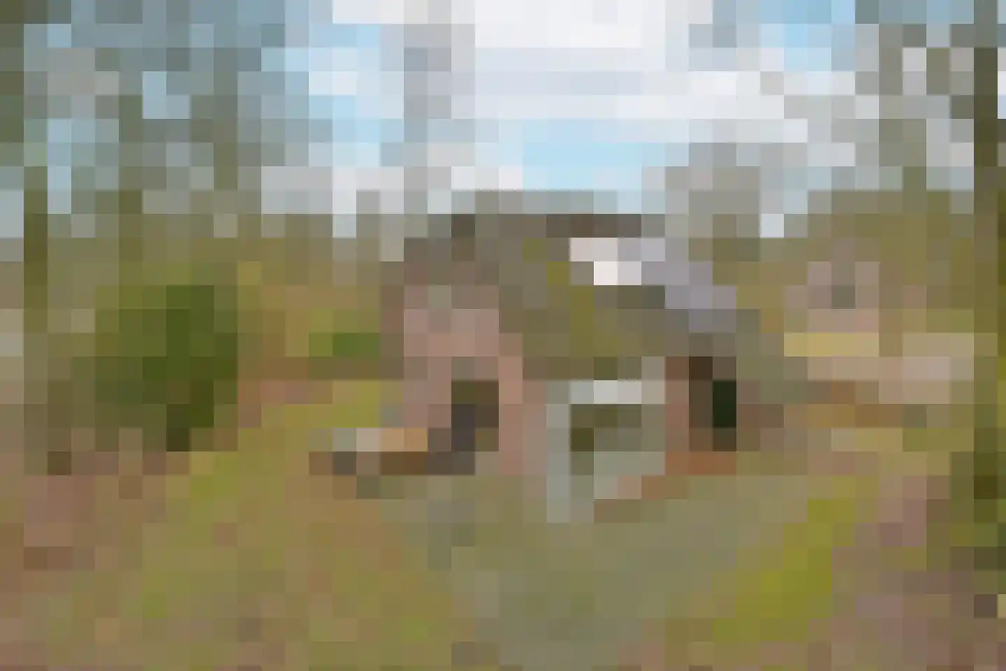 Landweerswal 2 210 Braamt thumbnail 28
