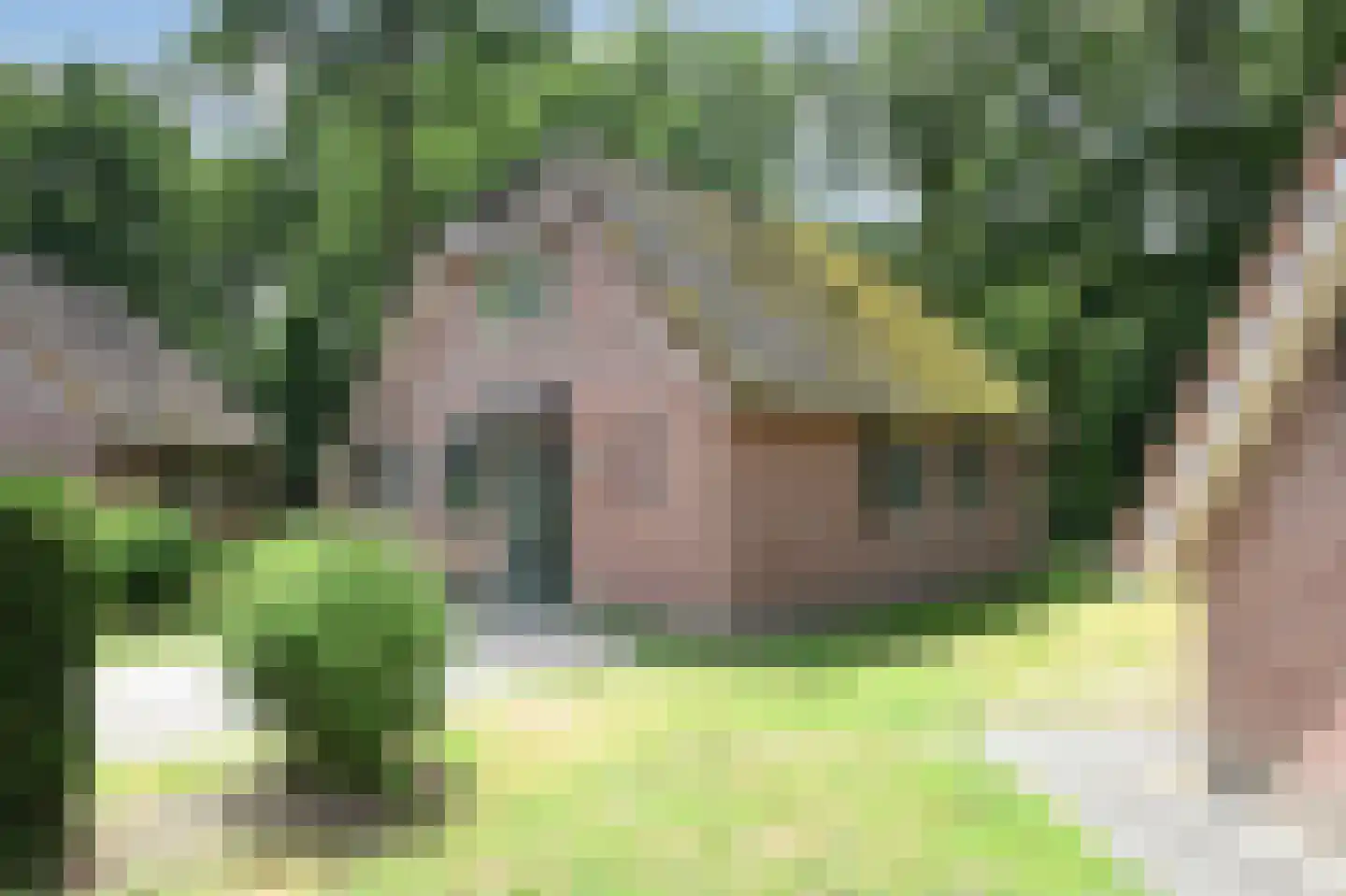 Landweerswal 2 210 Braamt thumbnail 28