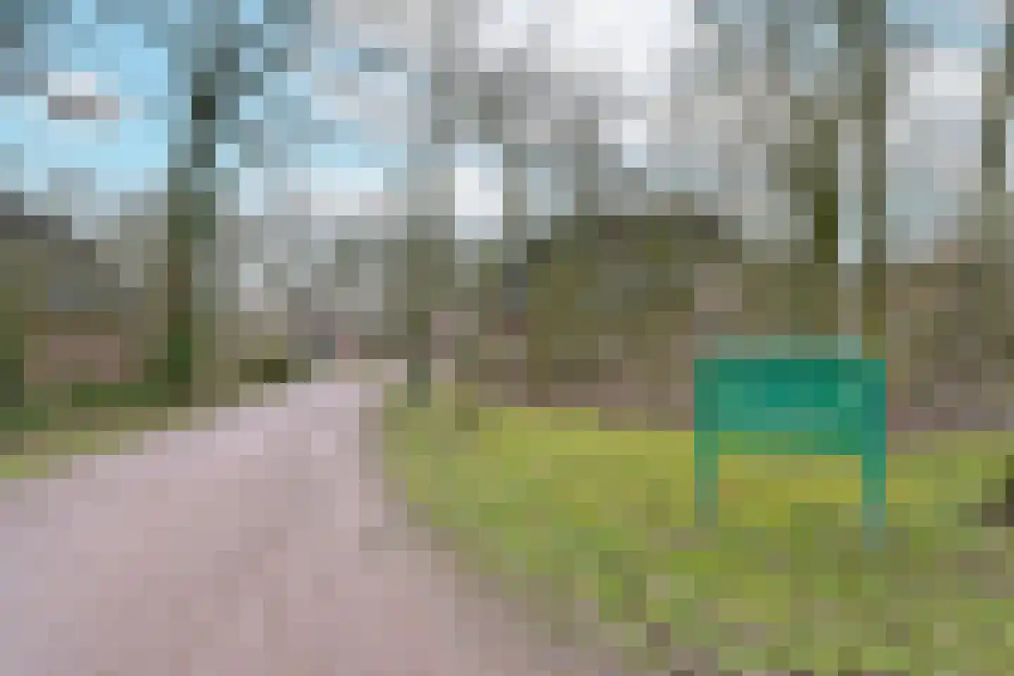 Landweerswal 2 210 Braamt thumbnail 29