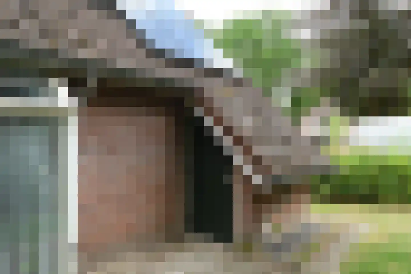 Landweerswal 2 210 Braamt thumbnail 30